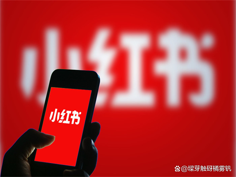 数据报告定制